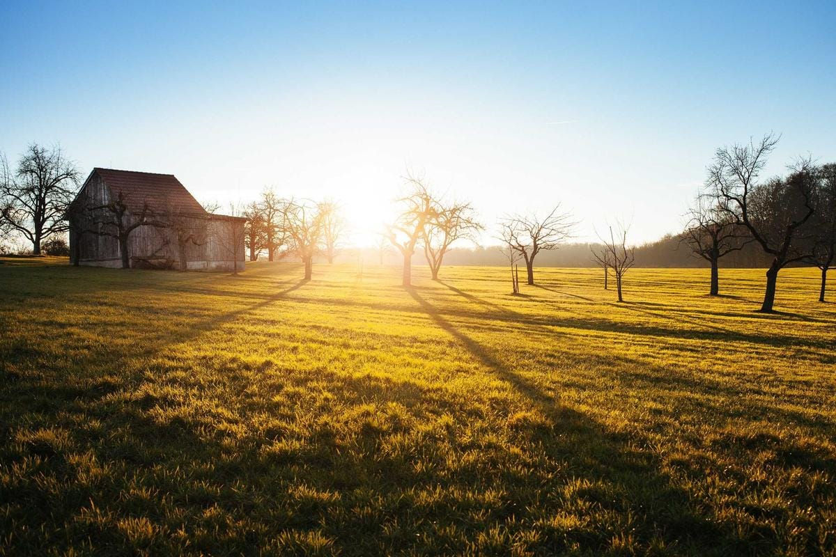 How to Find the Right Neighborhood to Buy In